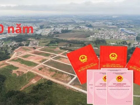 Đất giao, cho thuê 50 năm có thể bị thu hồi theo quy định của Luật Đất đai 2024