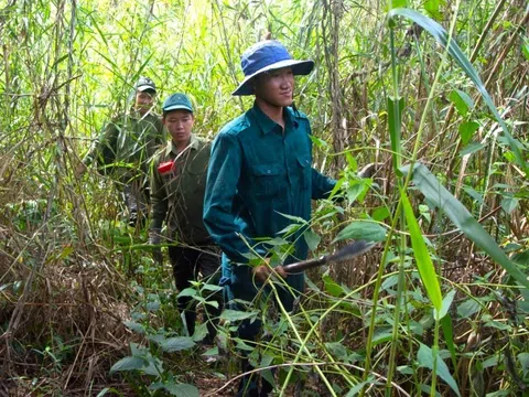 Bảo vệ khoảng 45.000ha rừng mùa khô, Cà Mau đóng kín cửa rừng, trữ nước, tạo đường băng xanh để phòng cháy