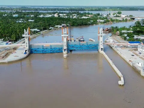 Công trình kiểm soát mặn phát huy vai trò hỗ trợ sản xuất nông nghiệp Đồng bằng sông Cửu Long