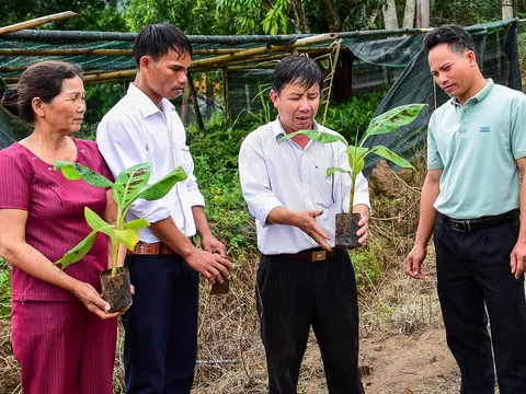 Khuyến nông đổi mới từ ứng dụng công nghệ thông tin và chuyển đổi số để phục vụ nông dân hiệu quả hơn