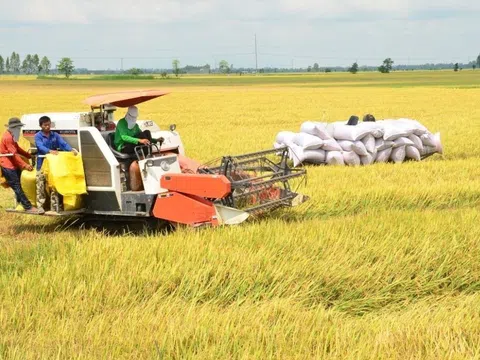 Chia sẻ khó khăn và đồng hành cùng với người dân, doanh nghiệp bằng chính nguồn lực của ngành ngân hàng