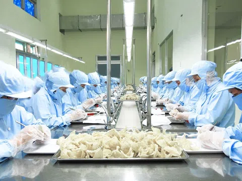 Nông sản được ví như 'vàng trắng' sẽ có cơ hội xuất khẩu hàng tỉ USD sang Trung Quốc