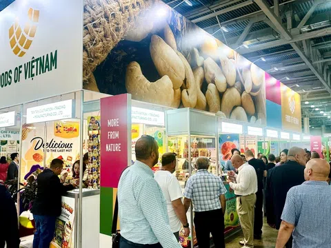 Kế thừa và tiếp nối quan hệ hữu nghị tạo cơ hội mở rộng hợp tác thương mại song phương Việt Nam-Nga