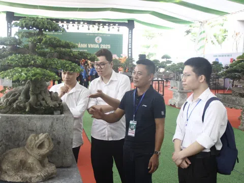 Bàn giải pháp đưa ngành hoa cây cảnh phát triển bền vững chiếm lĩnh thị trường tỷ đô