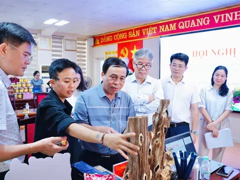 Kết nối cung cầu sản phẩm OCOP giữa 2 tỉnh Nghệ An và Lâm Đồng