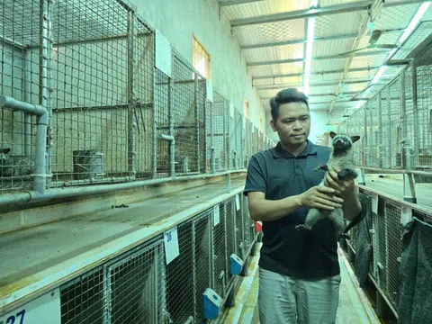 Thanh niên bỏ túi tiền tỷ mỗi năm nhờ nuôi loài vật hoang dã