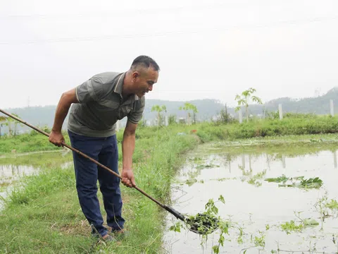 Từ “con nợ” vươn lên thành triệu phú nhờ nuôi ốc bươu đen