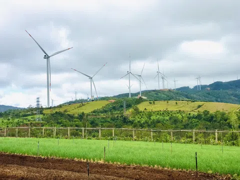 Quảng Trị: Nâng tầm phát triển năng lượng tái tạo