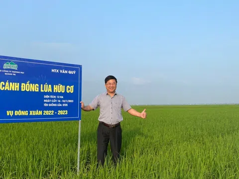 Kỹ sư Hồ Xuân Hiếu chia sẻ bí quyết ngăn chuột phá hoại ruộng lúa