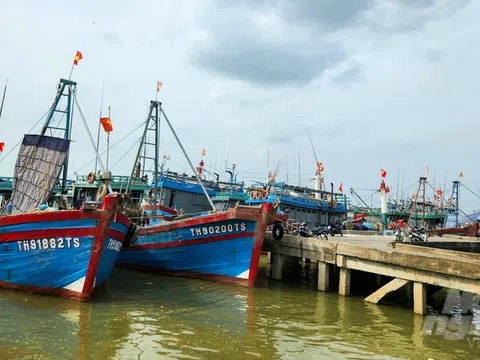 Thanh Hóa cùng cả nước gỡ “thẻ vàng” IUU - Bài 1: Quyết tâm cao, nỗ lực lớn tạo sự chuyển biến trong ngư dân