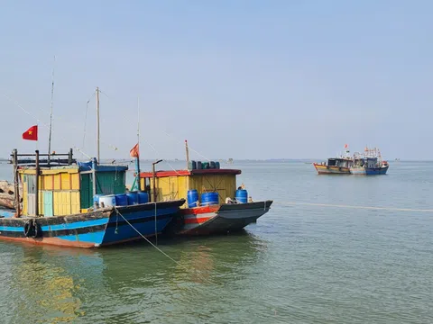 Tiềm năng và thế mạnh tạo bước đột phá trong ngành thủy sản ở Thanh Hóa
