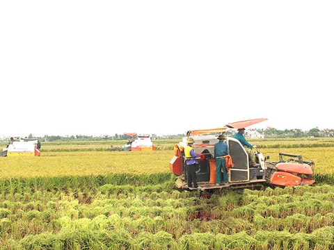 Thanh Hóa: Tập trung phát triển nông nghiệp chủ lực tạo sức cạnh tranh