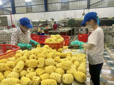 Ngành nông nghiệp Thanh Hóa đạt kim ngạch xuất khẩu gần 89 triệu USD