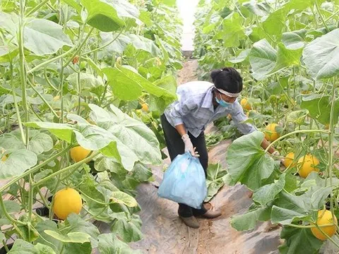 Xây dựng Nông thôn mới ở Thanh Hóa – Bài 3: Diện mạo mới gắn tăng trưởng phát triển kinh tế xanh