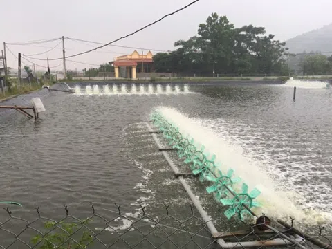 Bảo đảm an toàn diện tích nuôi trồng thủy sản trong mùa mưa bão