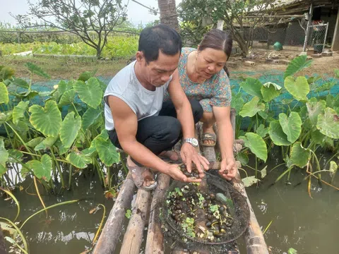 Những “cú hích” từ vốn vay chính sách ở vùng khó Thanh Hóa