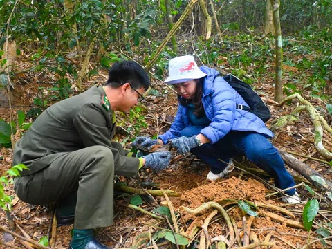 Thanh Hóa tạo dấu ấn vượt trội trong phát triển lâm nghiệp bền vững