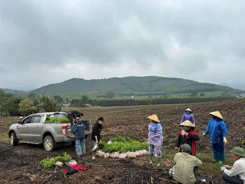 Cây keo phủ xanh đồi trọc, tạo sinh kế mới trên miền núi xứ Thanh