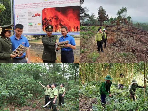 Thanh Hóa cảnh báo cháy rừng cấp cao do nắng nóng kéo dài