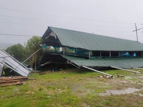 Bão số 5 càn quét Bắc Trung Bộ: Cây đổ la liệt, hoa màu ngập úng, hàng chục nghìn người sơ tán