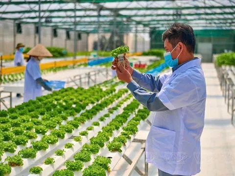 Nghị quyết 57 và vai trò của địa phương trong hiện thực hóa khát vọng hùng cường