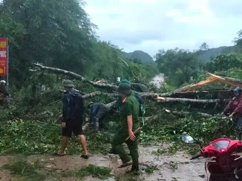 Bão số 10 kết hợp gió mạnh đã gây ra trận giông lốc nghiêm trọng tại tỉnh Ninh Bình, khiến 6 người tử vong