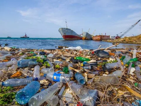 Loại bỏ rác thải nhựa để chống ô nhiễm đại dương