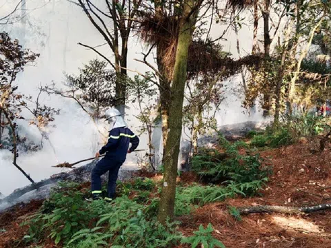 Hơn 350 người quyết liệt chữa cháy rừng ở Sóc Sơn