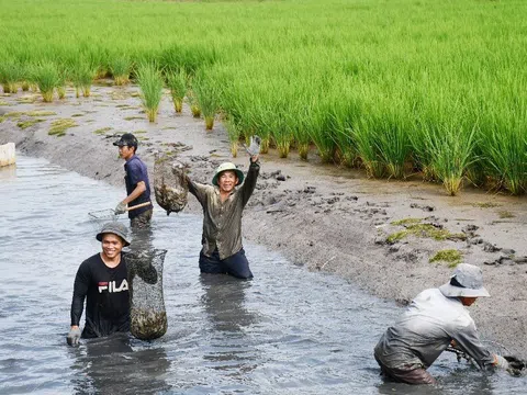 Cà Mau: Tập trung phát triển các sản phẩm nông nghiệp sạch, an toàn