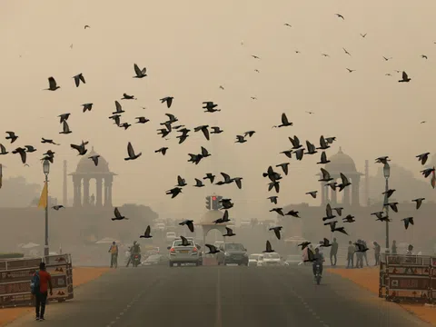 Ấn Độ: Tạm dừng các dự án xây dựng do chất lượng không khí Thủ đô ở ngưỡng “báo động”