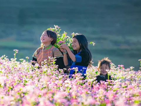 Hà Giang: Khai mạc Lễ hội hoa tam giác mạch lần thứ 8