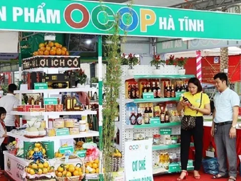 Hà Tĩnh: Nhiều sản phẩm OCOP, sản phẩm công nghiệp nông thôn tiêu biểu đã tham gia các hội chợ