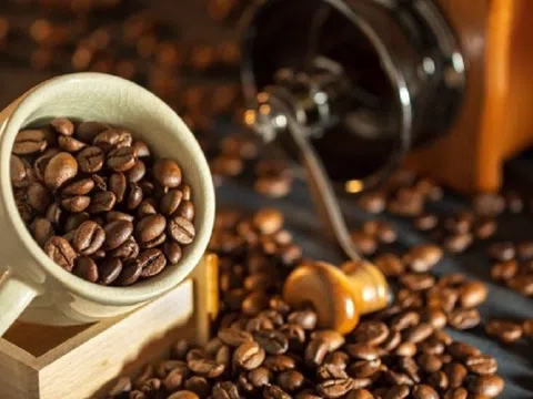 Tiêu dùng xanh ngày 04/12: Giá cà phê trong nước giảm nhẹ, cao nhất 41.100 đồng/kg