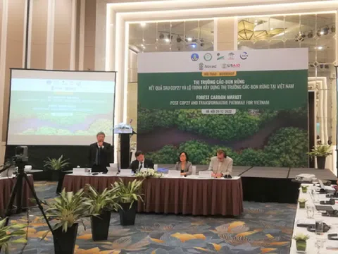 Xây dựng thị trường tín chỉ carbon rừng ở Việt Nam
