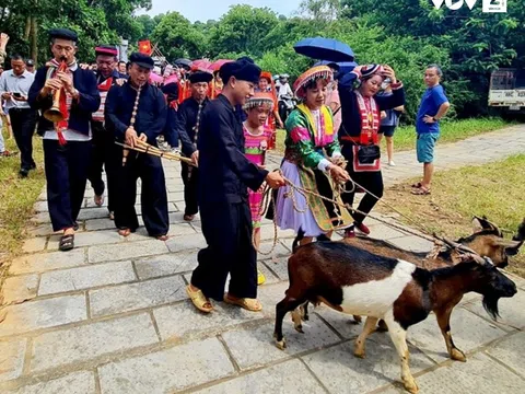 Nhộn nhịp “Chợ vùng cao ngày Tết” giữa Hà Nội