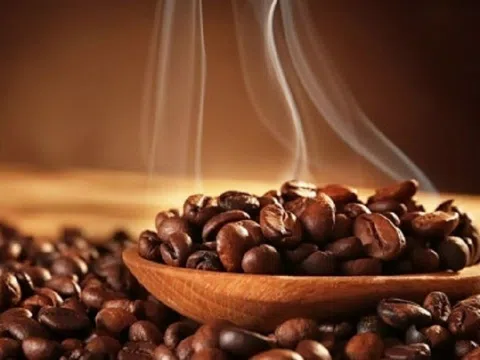 Giá cà phê ngày 07/2: Giá cà phê trong nước đi ngang tại các vùng trọng điểm, cao nhất 42.800 đồng/kg