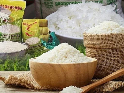 Giá lúa gạo tăng nhẹ sau nhiều phiên điều chỉnh giảm