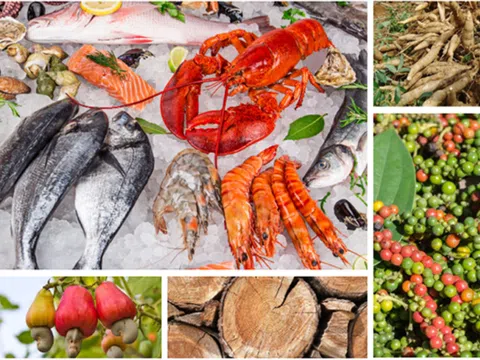 Thị trường nào nhập khẩu nông lâm, thủy sản lớn nhất của Việt Nam hiện nay?