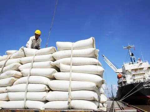 Giá lúa gạo trong nước đi ngang, gạo xuất khẩu tăng 5 USD/tấn