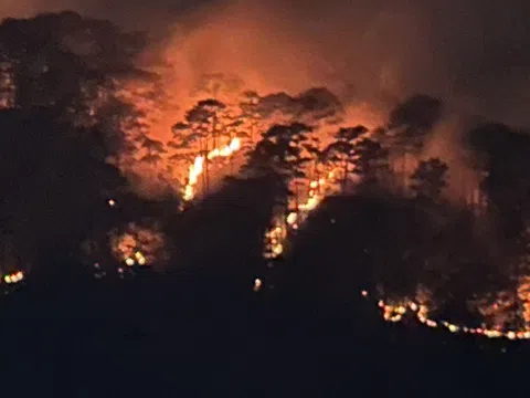 Đà Lạt: Rừng thông cháy 3 ngày liên tiếp, 13 ha rừng bị ảnh hưởng nghiêm trọng