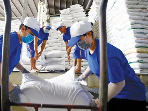 Gs. Võ Tòng Xuân: Nhiều nước rất thích gạo Việt Nam vì chất lượng, ngon cơm