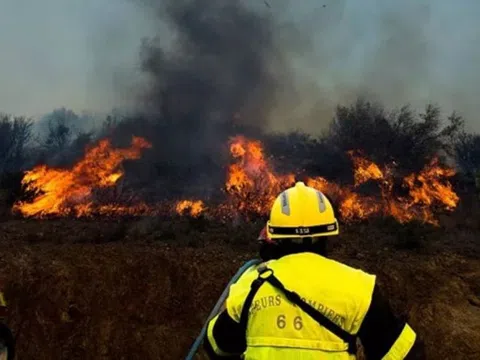 Cháy rừng tại Pháp khiến gần 1.000ha rừng bị thiêu rụi