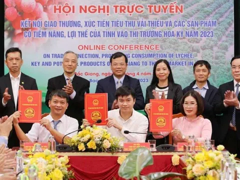 Bắc Giang dự kiến xuất khẩu 1.500 tấn vải thiều sang Hoa Kỳ