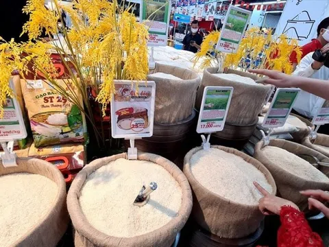 Giá lúa gạo ngày 04/5: Giá lúa gạo ổn định, thị trường giao dịch sôi động
