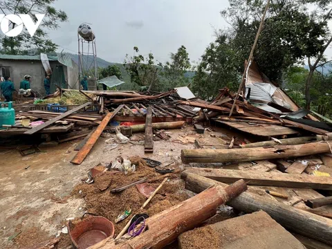 Dông lốc ở Nghệ An, Quảng Bình khiến hàng chục ngôi nhà hư hỏng và hàng trăm ha lúa gãy đổ