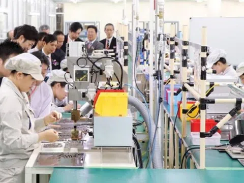 Kỳ vọng lợi nhuận tăng, 60% doanh nghiệp bán lẻ Nhật Bản tại Việt Nam sẽ mở rộng kinh doanh