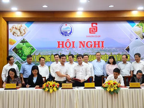 Saigon Co.op sẽ đưa đặc sản Tây Ninh vào 800 siêu thị, cửa hàng trên cả nước