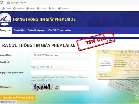 Nhiều website giả mạo tra cứu, cấp đổi giấy phép lái xe