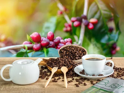 Giá cà phê ngày 05/7: Giá cà phê trong nước bật tăng 700 đồng/kg