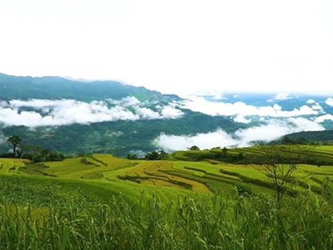 Tuyên Quang: Du lịch nông nghiệp đang phát triển mạnh ở huyện Na Hang